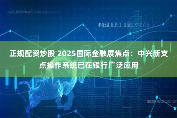 正规配资炒股 2025国际金融展焦点：中兴新支点操作系统已在银行广泛应用
